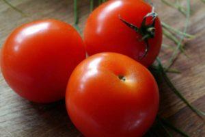 มะเขือเทศพันธุ์มาตรฐานที่เติบโตต่ำ Toptyzhka เทคนิคการเพาะปลูก