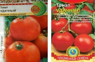 ซองเมล็ดพันธุ์