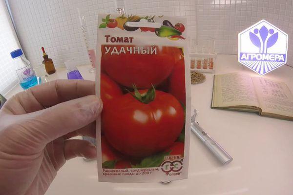 graines de tomates
