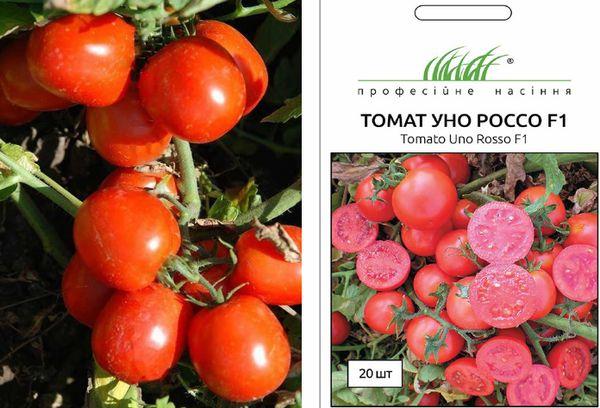 Description de la tomate