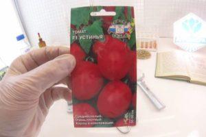 ลักษณะและคำอธิบายของมะเขือเทศ Ustinya F1 เทคนิคการปลูกแบบลูกผสม