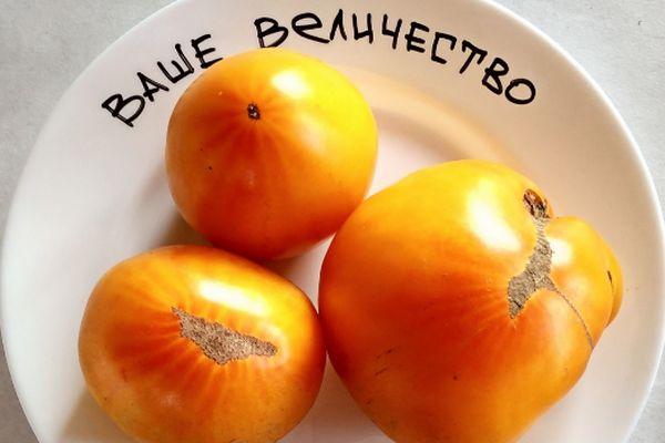 มะเขือเทศสีเหลือง