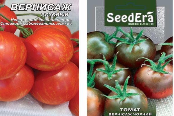 เมล็ดมะเขือเทศ