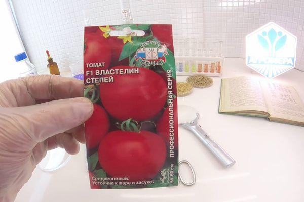 เมล็ดพันธุ์ในแพ็ค