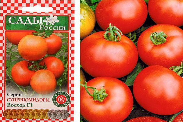 Description de la tomate