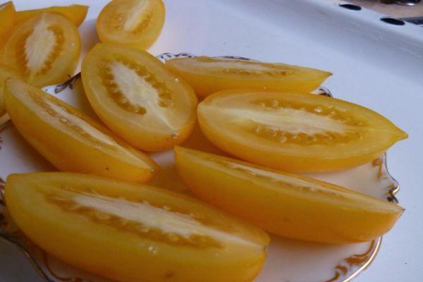 เนื้อมะเขือเทศ