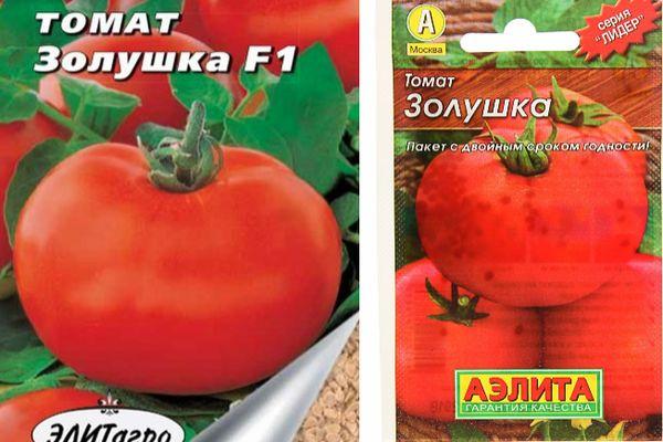 เมล็ดมะเขือเทศ