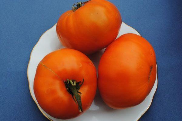 มะเขือเทศสามลูก