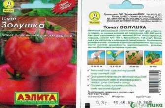 มะเขือเทศซินเดอเรลล่า