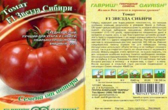 มะเขือเทศแห่งไซบีเรีย