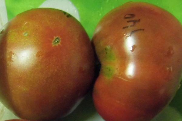 Deux tomates