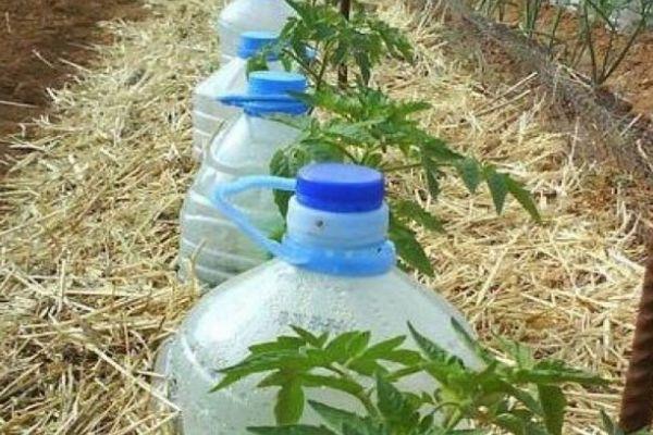 Bouteilles en plastique