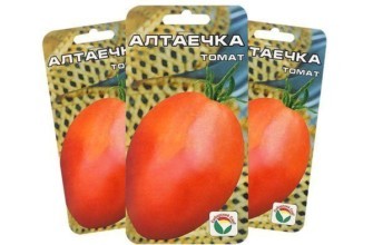 เมล็ดมะเขือเทศ