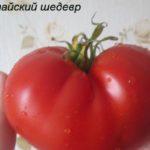 มะเขือเทศลูกใหญ่