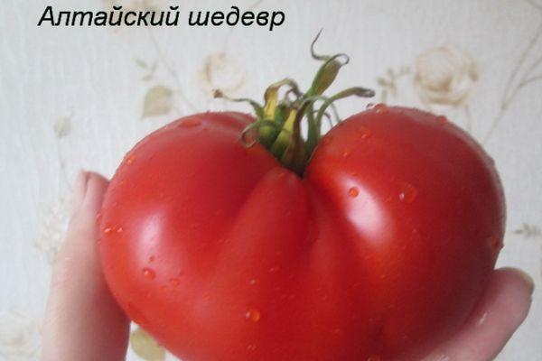 มะเขือเทศลูกใหญ่