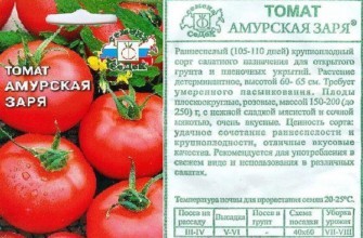 ลักษณะของมะเขือเทศ