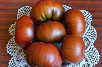 มะเขือเทศบนจาน