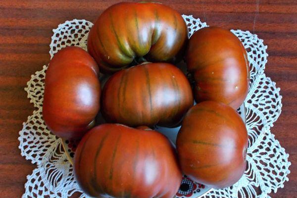 มะเขือเทศบนจาน