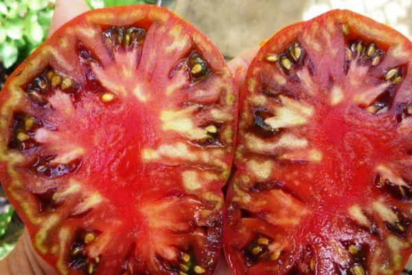 เนื้อมะเขือเทศ