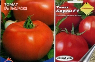 ซองเมล็ดพันธุ์