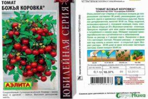 คำอธิบายมะเขือเทศเต่าทองที่สุกเร็ว คำแนะนำในการปลูก และการดูแล