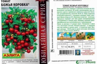 ลักษณะของมะเขือเทศ