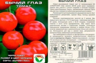 ลักษณะของมะเขือเทศ