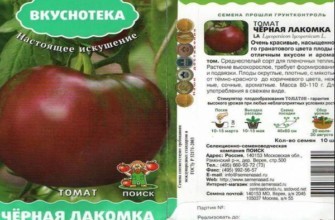 ลักษณะของมะเขือเทศ