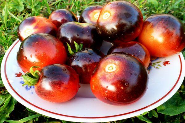 Une assiette de tomates