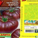 Description de la tomate
