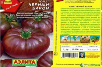 ลักษณะของมะเขือเทศ