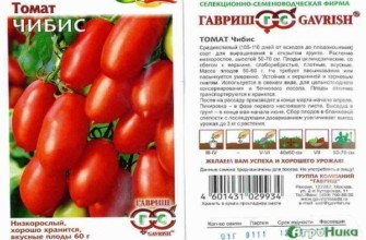 ลักษณะของมะเขือเทศ