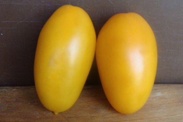 มะเขือเทศสองลูก