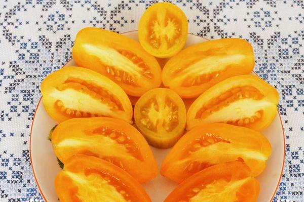 เนื้อมะเขือเทศ