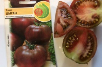 มะเขือเทศยิปซี