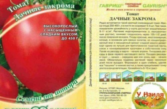 ลักษณะของมะเขือเทศ