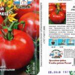 Description de la tomate