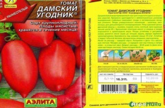 ลักษณะของมะเขือเทศ