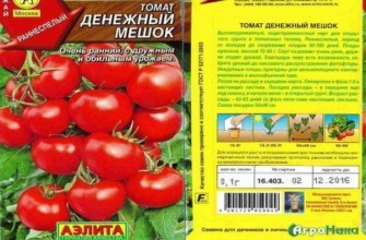 ลักษณะของพันธุ์