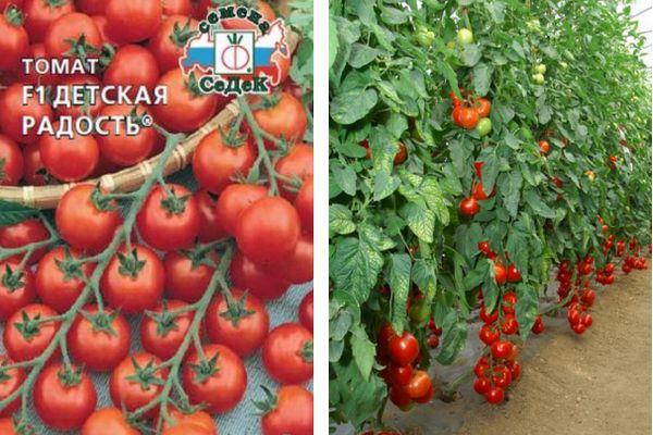 มะเขือเทศผลเล็ก