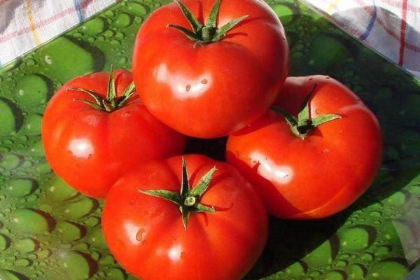 Quatre tomates