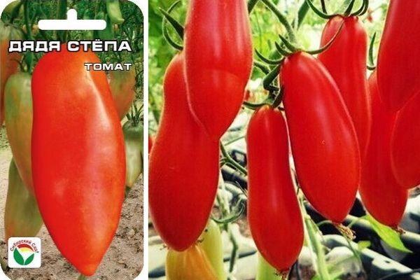 มะเขือเทศผลยาว