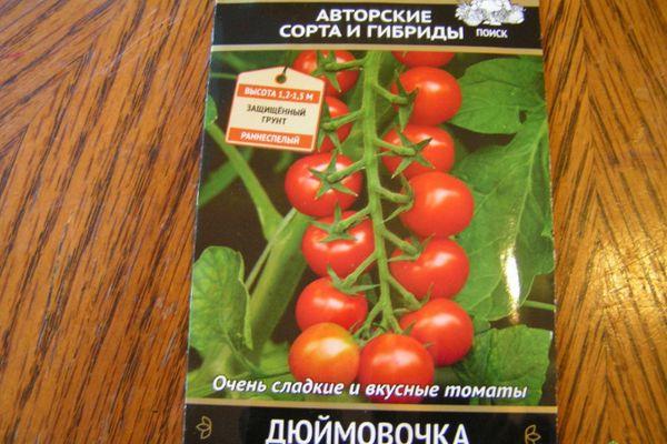 เมล็ดมะเขือเทศ