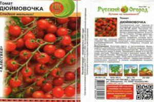 ลักษณะของมะเขือเทศพันธุ์ Thumbelina ที่สุกเร็วและคำแนะนำในการปลูกพันธุ์