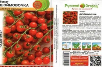 มะเขือเทศทัมเบลิน่า