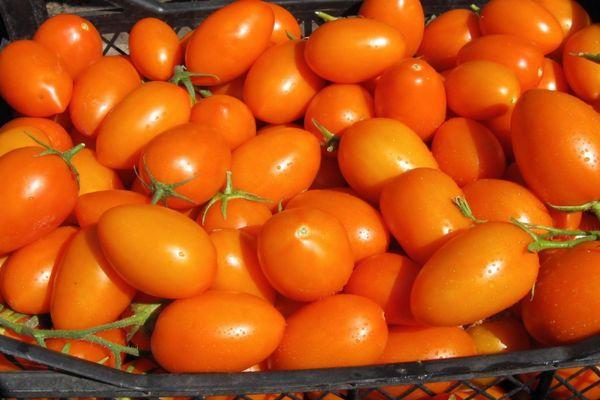 Une boîte de tam-tams