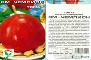 รายละเอียดของมะเขือเทศ Em Champion การปลูกเอง และการควบคุมศัตรูพืช