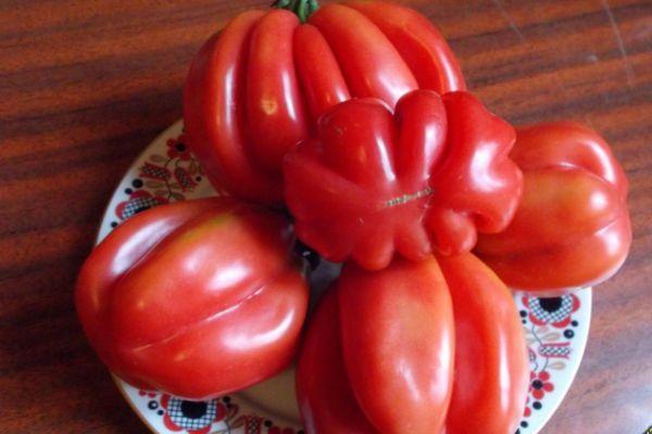 มะเขือเทศเอตัวล์