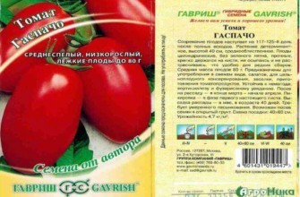 ลักษณะของมะเขือเทศ