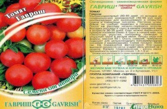 ลักษณะของมะเขือเทศ